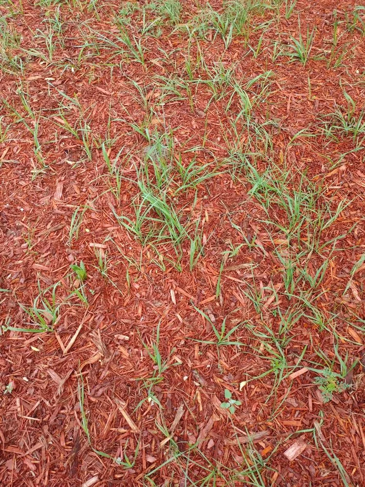 Reliable outdoor landscaping with custom design across Saint Cloud, MN - Granite City Sod & Landscape