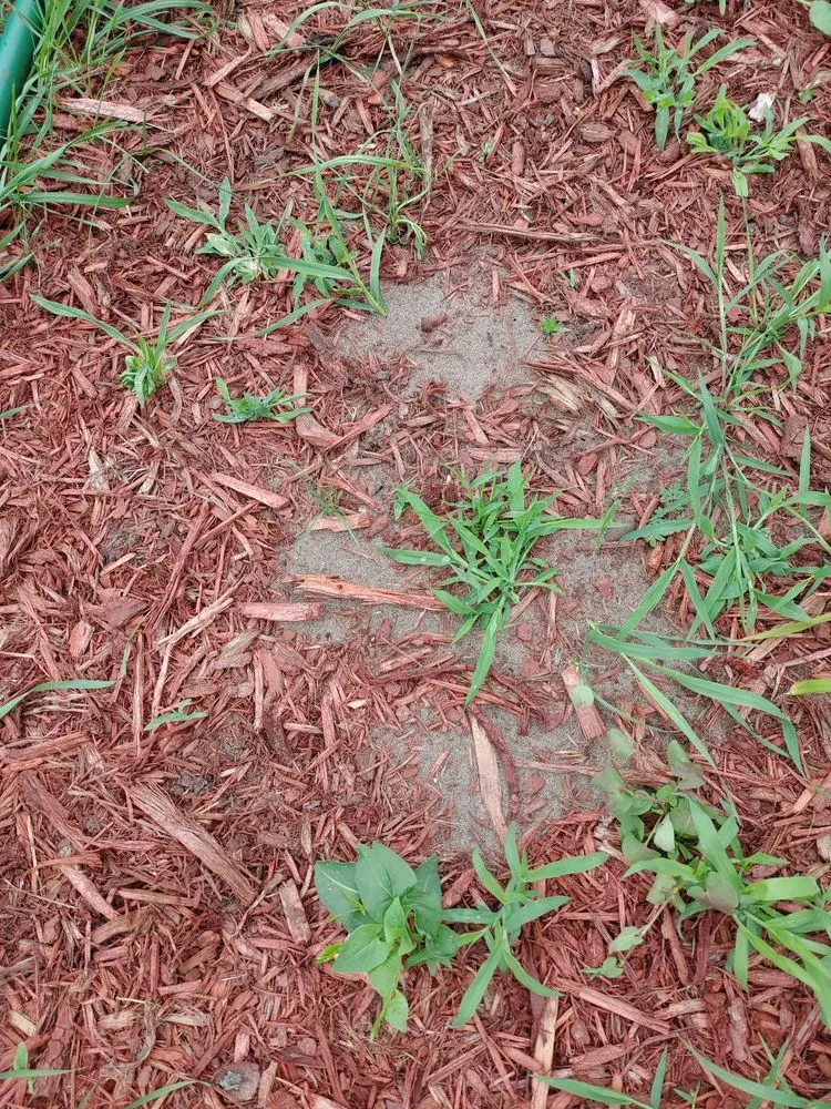 Custom landscaping services with custom design across Saint Cloud, MN - Granite City Sod & Landscape