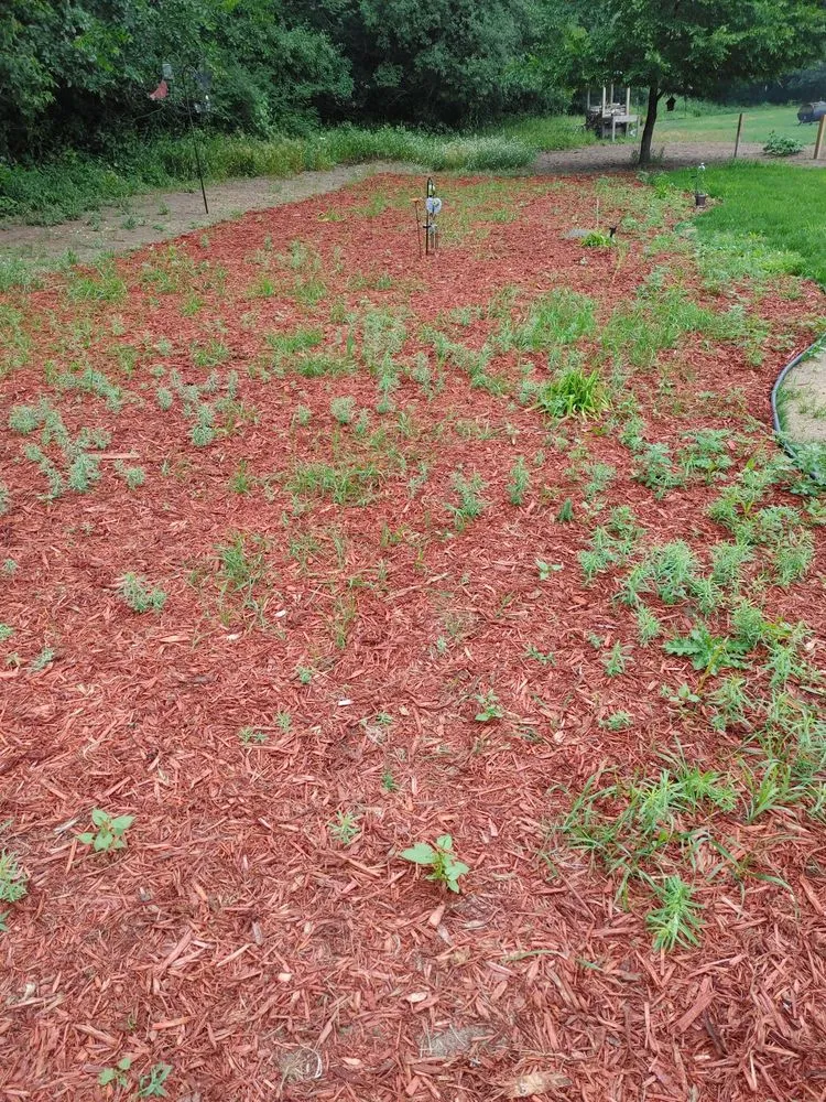 Professional landscape installation in Saint Cloud, MN by Granite City Sod & Landscape