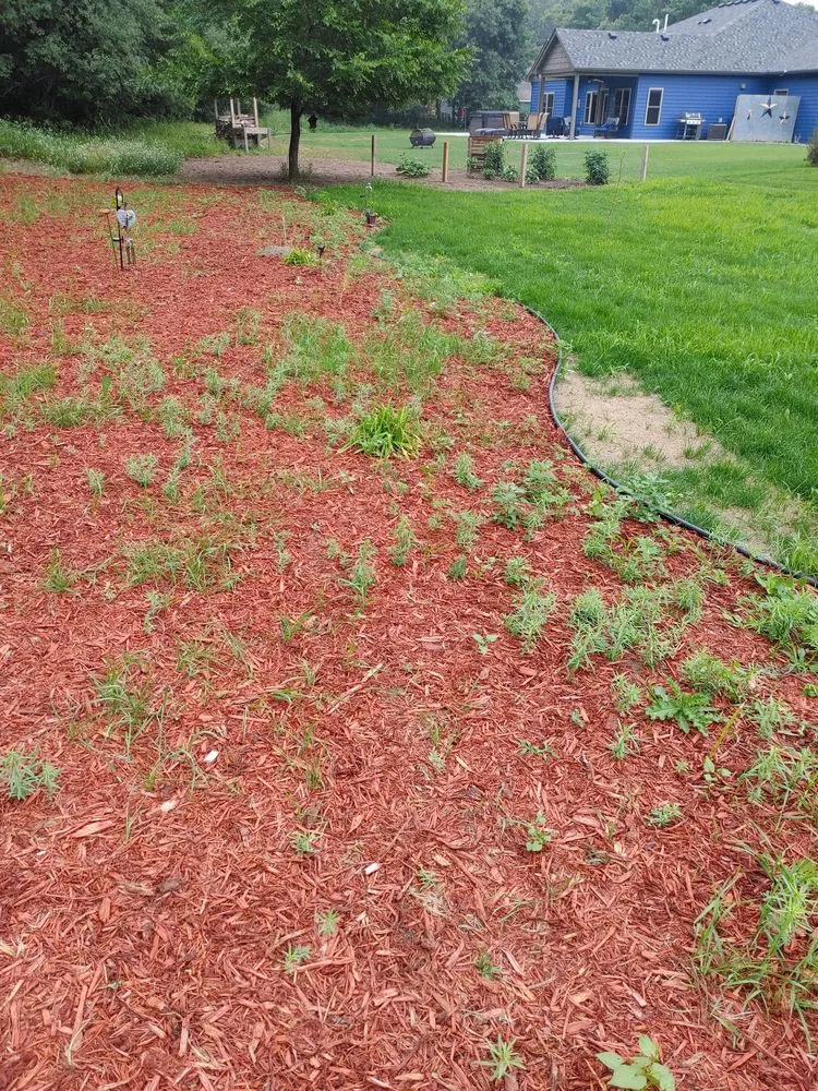 Top-rated yard cleanup service experts serving Saint Cloud, MN - Granite City Sod & Landscape