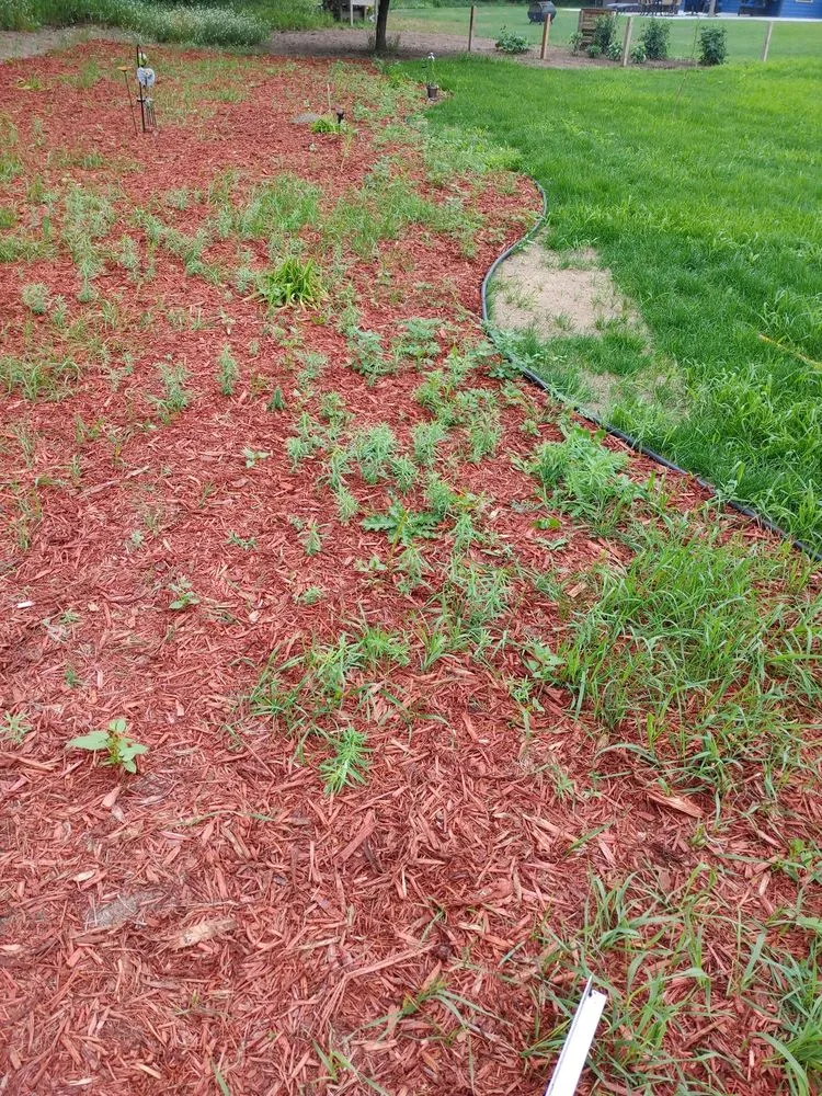 Professional landscape installation with custom design across Saint Cloud, MN - Granite City Sod & Landscape