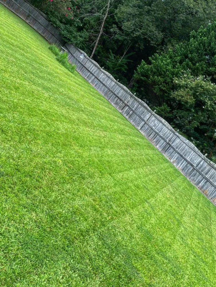 Affordable garden landscaping in Greenville, NC - Granite Grove Landscapes