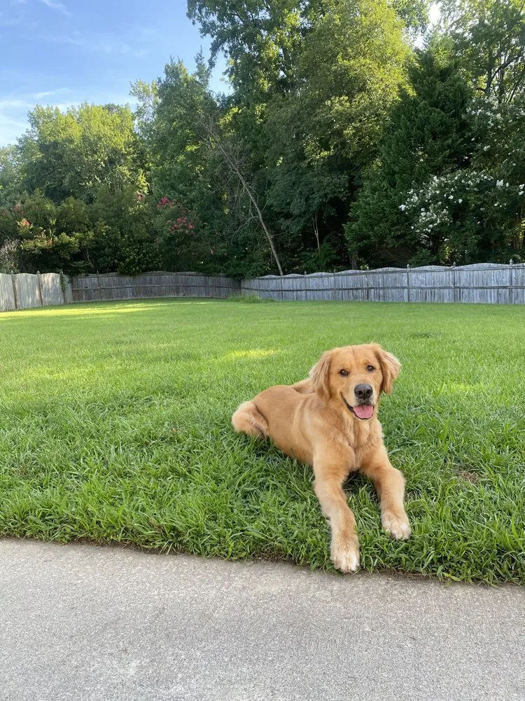 Expert landscaping services experts serving Greenville, NC - Granite Grove Landscapes