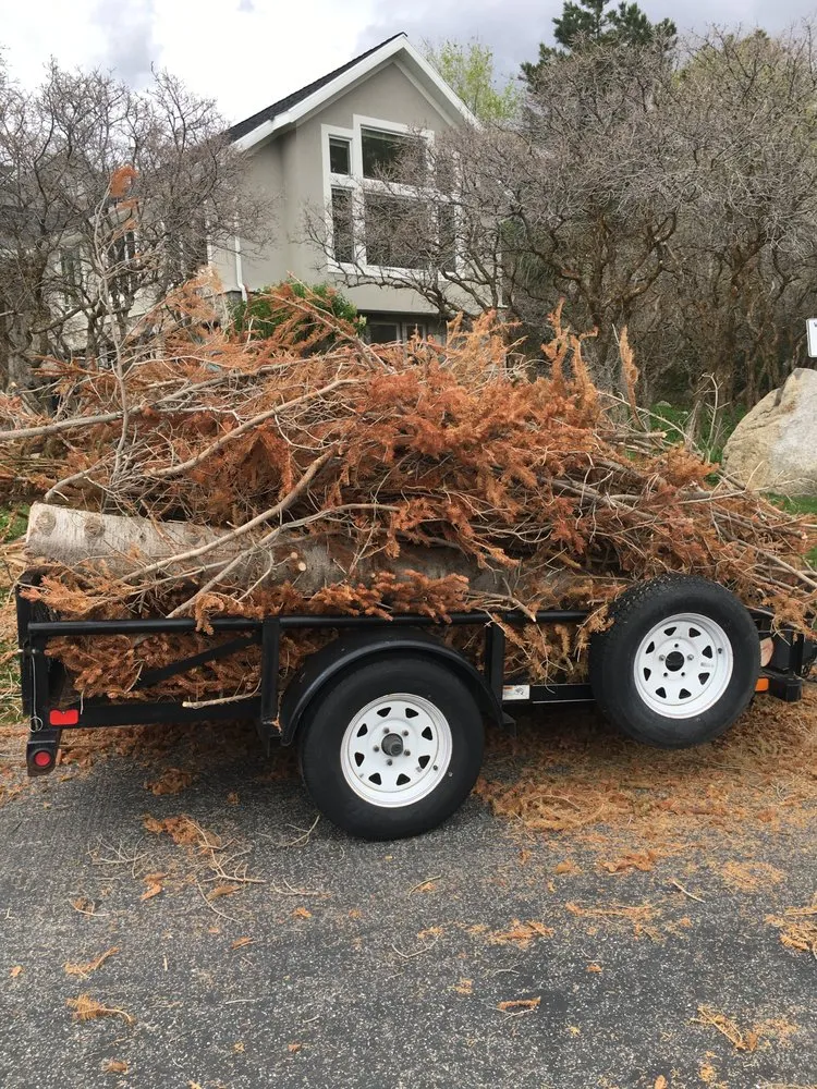 Expert residential landscaping for year-round maintenance in Sandy, UT by Granite Landscape Maintenance