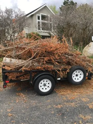 Granite Landscape Maintenance Logo