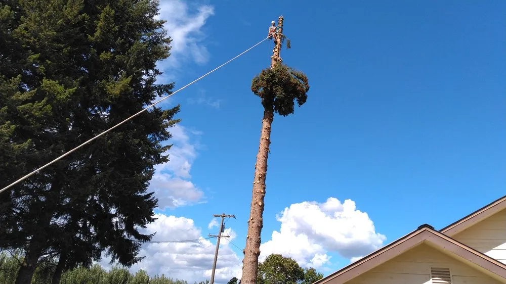 Custom yard cleanup service for homes in Okanogan, WA by Granite Mountain GS