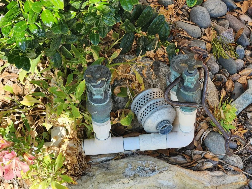 Top-rated lawn care service for year-round maintenance across Inglewood, CA - Grannde Landscaping