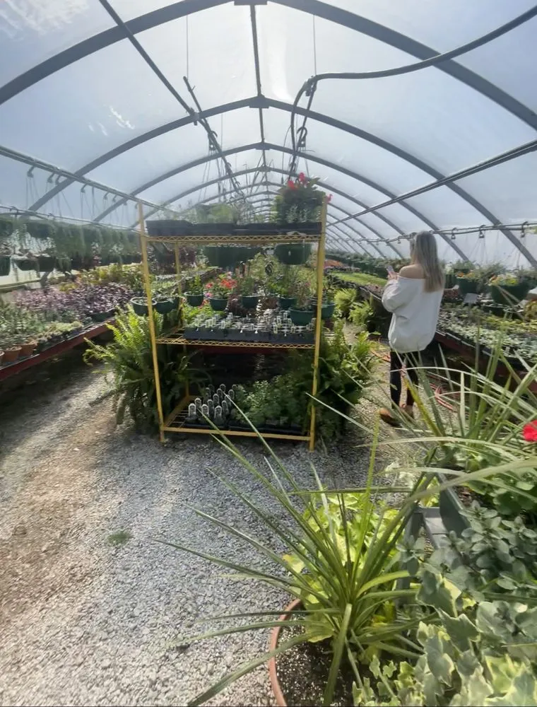 Local outdoor landscaping for homes in Borden, IN by Granny’s Garden Center