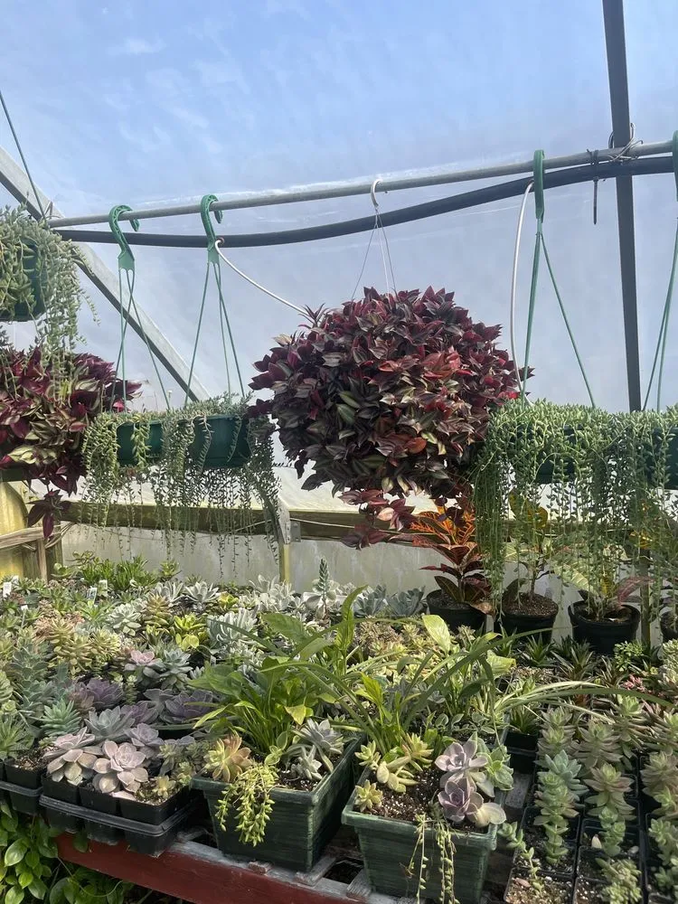Expert outdoor landscaping for beautiful yards across Borden, IN - Granny’s Garden Center