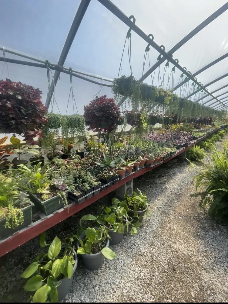 Top-rated landscape design in Borden, IN by Granny’s Garden Center