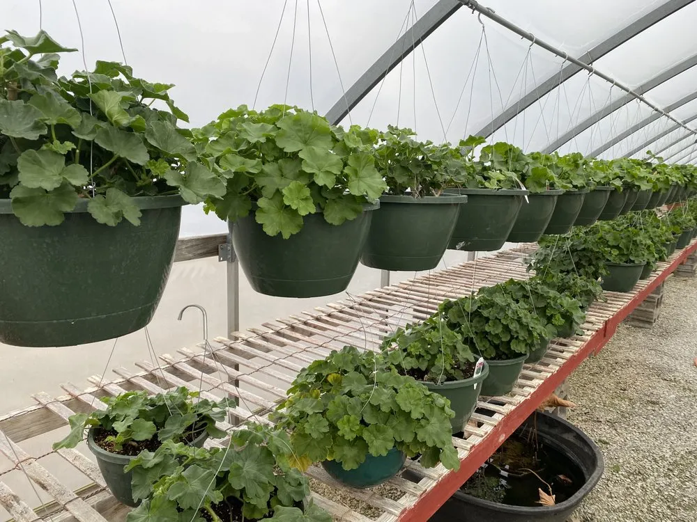Affordable landscaping services in Borden, IN by Granny’s Garden Center