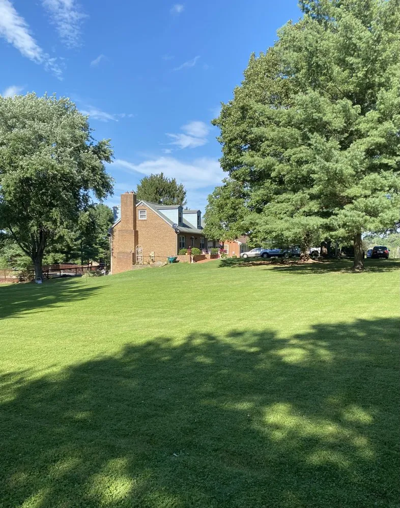 Expert yard cleanup service in Fishersville, VA by Grant & Sons Lawn Care