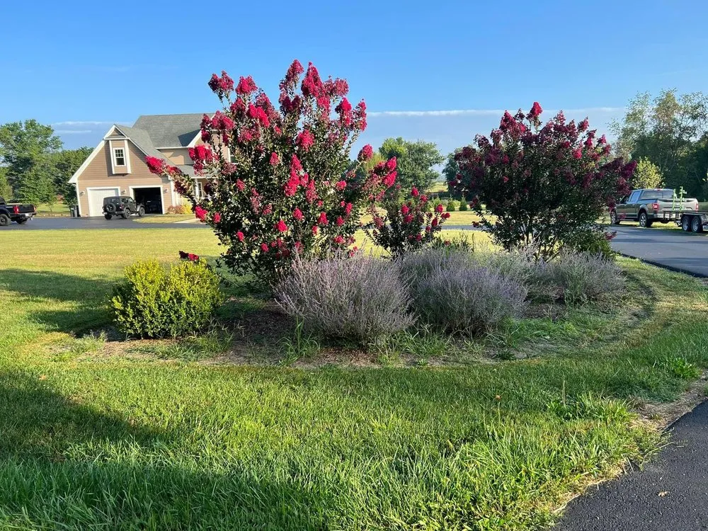 Custom lawn care service near you in Fishersville, VA by Grant & Sons Lawn Care