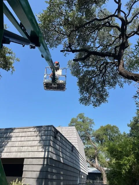 Trusted yard maintenance in Kyle, TX - Grant and Sons Property Services