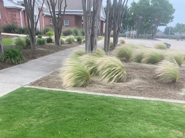 Top-rated yard maintenance in Kyle, TX - Grant and Sons Property Services