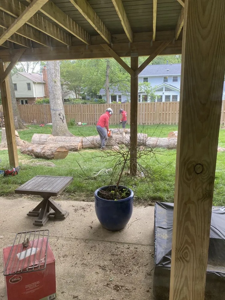 Custom residential landscaping in Chantilly, VA - Grant Brothers Tree Service