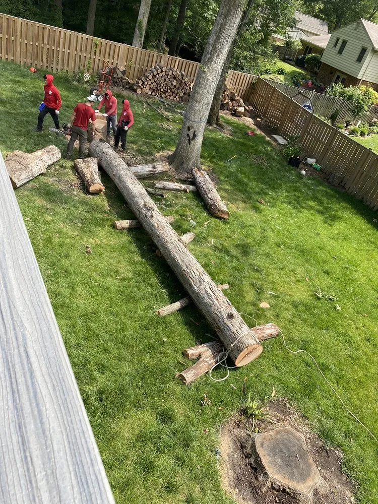 Custom yard cleanup service for beautiful yards in Chantilly, VA by Grant Brothers Tree Service