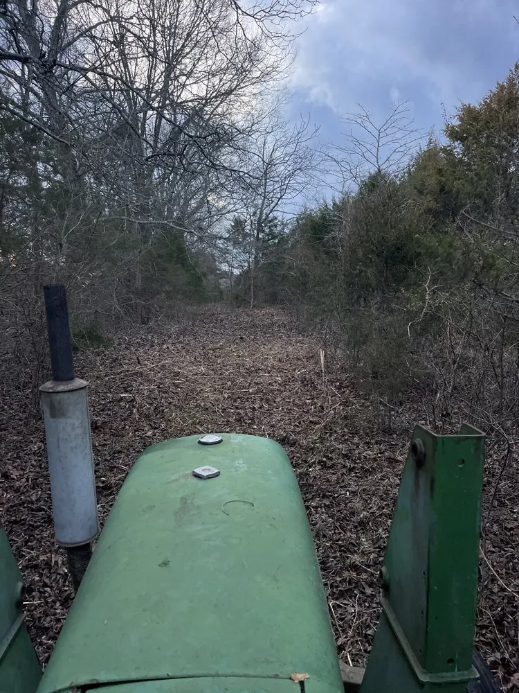 Expert yard cleanup service in Watertown, TN by Grant Farm & Excavation