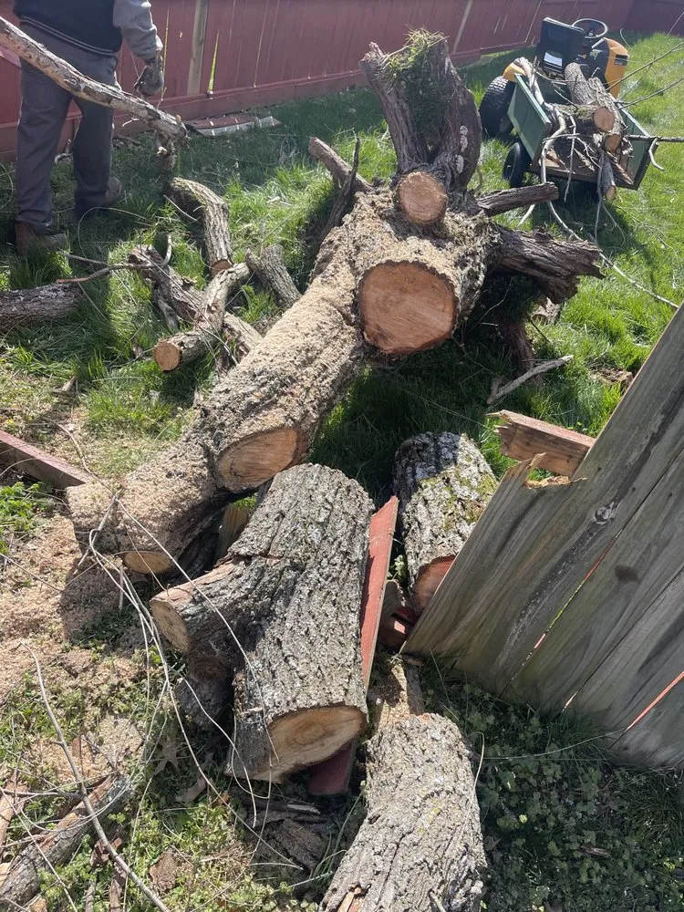 Professional landscape installation in Watertown, TN by Grant Farm & Excavation