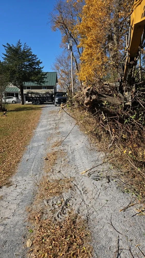 Top-rated yard maintenance in Bridport, VT by Grant Landscaping & Excavation