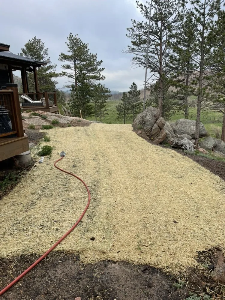 Trusted yard maintenance experts serving Windsor, CO - Grant Mountain Work