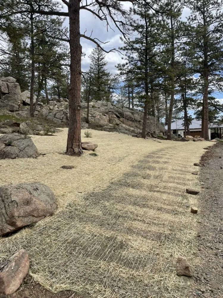 Expert lawn mowing service experts serving Windsor, CO - Grant Mountain Work