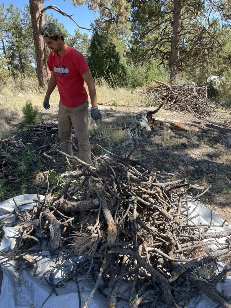 Top-rated yard cleanup service with custom design across Evergreen, CO - Grant Property Medics