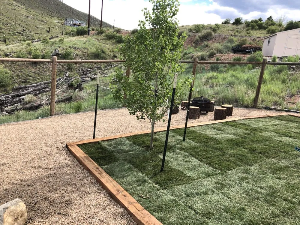 Affordable yard cleanup service experts serving Evergreen, CO - Grant Property Medics