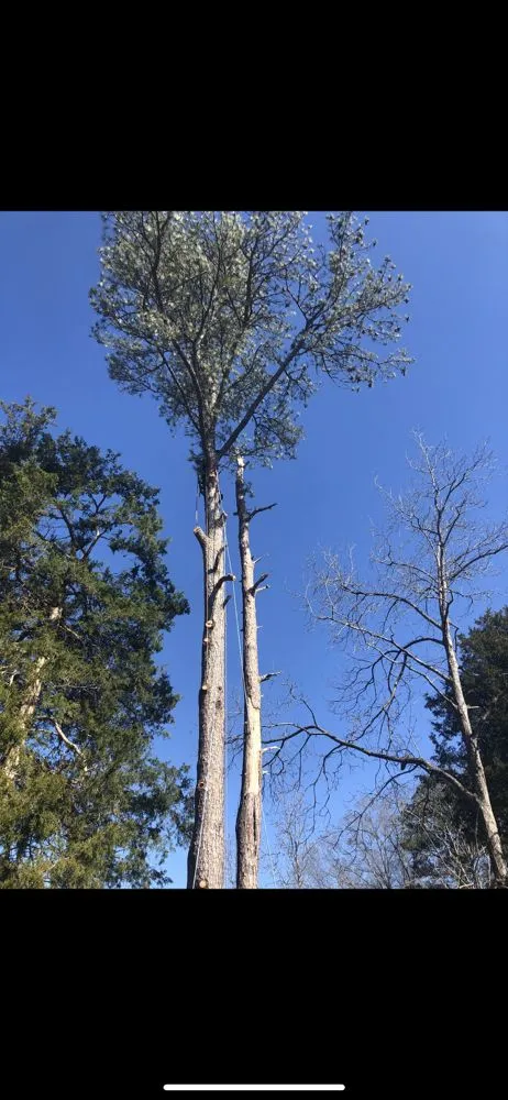 Expert landscape design for outdoor upgrades across Attalla, AL - GrantCo