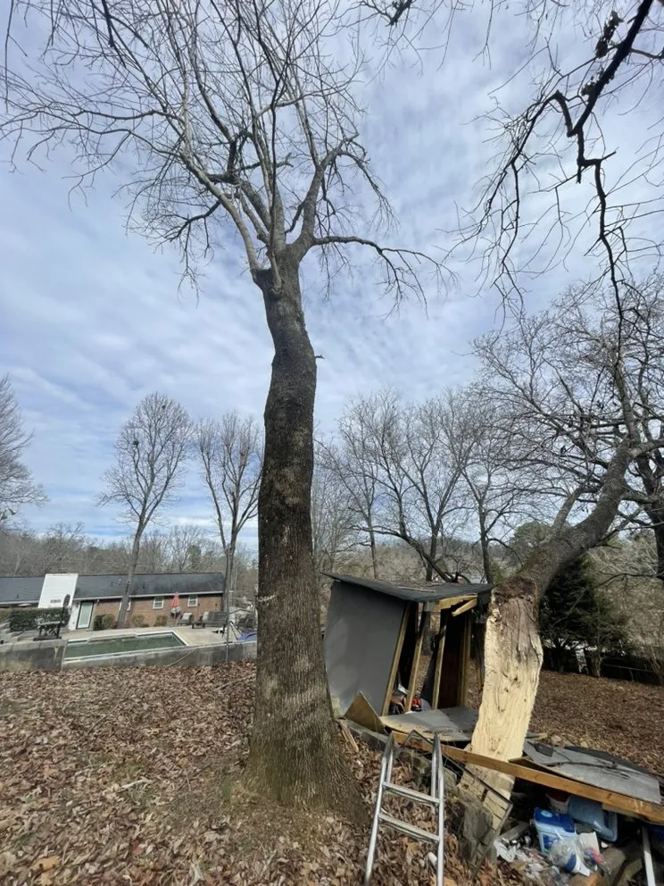 Trusted landscape installation in Attalla, AL - GrantCo