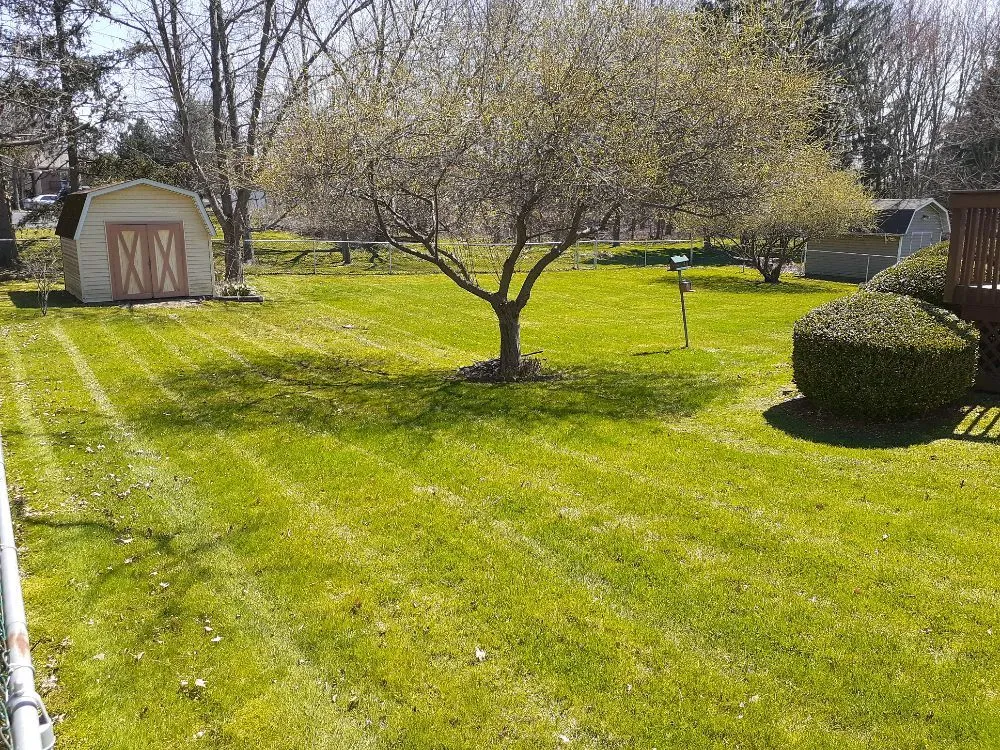 Reliable yard maintenance experts serving Akron, OH - Grantham Lawn Care And Design