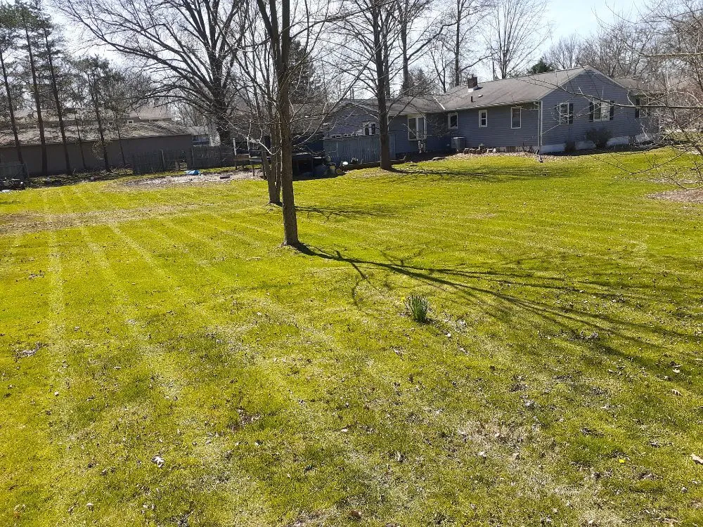 Affordable outdoor landscaping in Akron, OH by Grantham Lawn Care And Design
