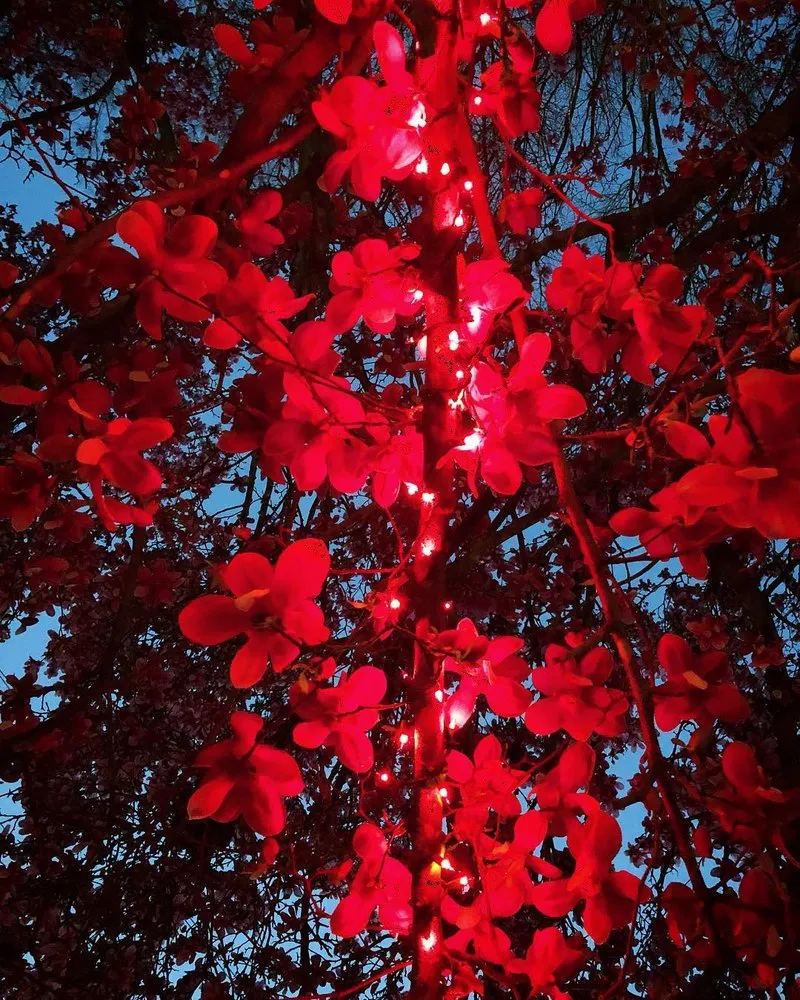 Reliable lawn mowing service in Atlanta, GA by Grantlanta Lawn