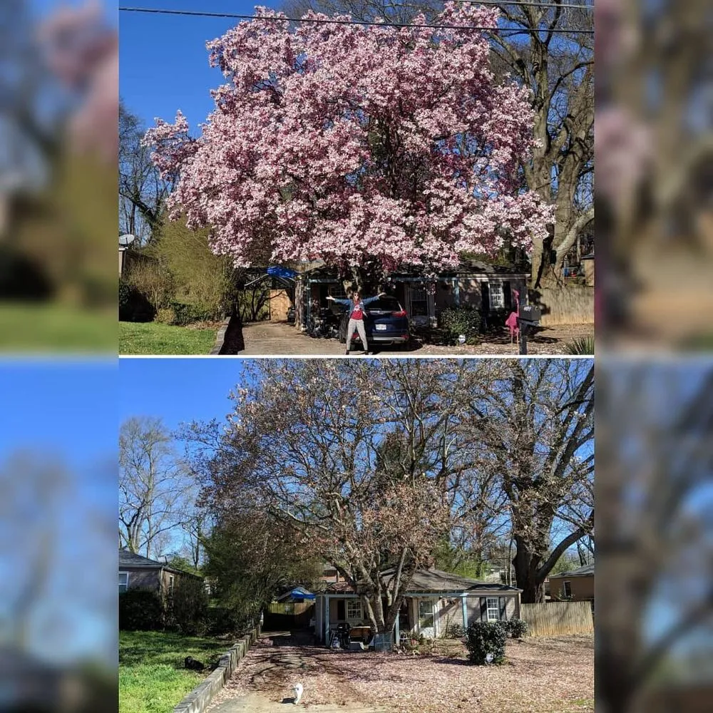 Reliable lawn care service for outdoor upgrades in Atlanta, GA by Grantlanta Lawn