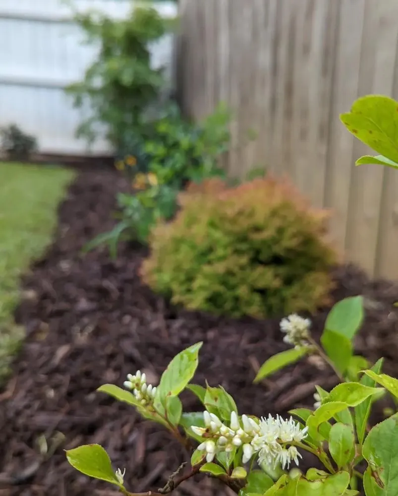 Reliable garden landscaping in Atlanta, GA by Grantlanta Lawn