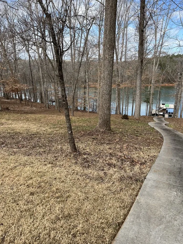 Professional lawn mowing service in Anderson, SC by Grants landscaping & lawn care