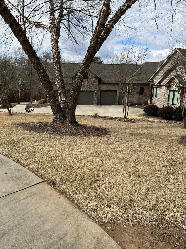 Top-rated landscape installation in Anderson, SC - Grants landscaping & lawn care