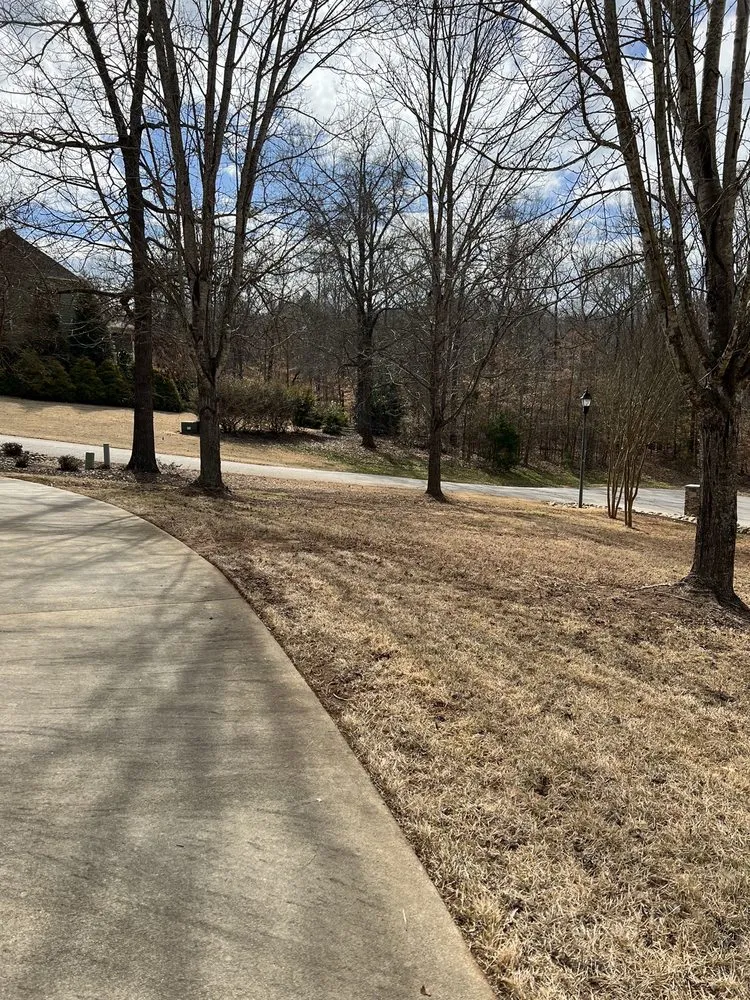 Reliable lawn mowing service experts serving Anderson, SC - Grants landscaping & lawn care