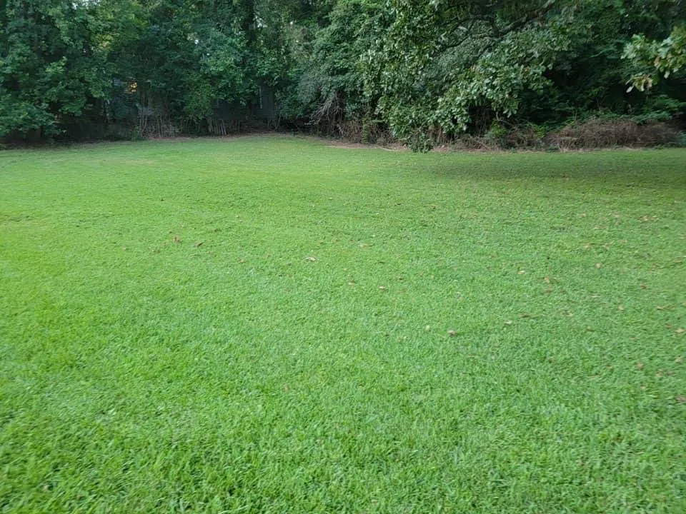 Top-rated residential landscaping for beautiful yards in Anderson, SC by Grants landscaping & lawn care