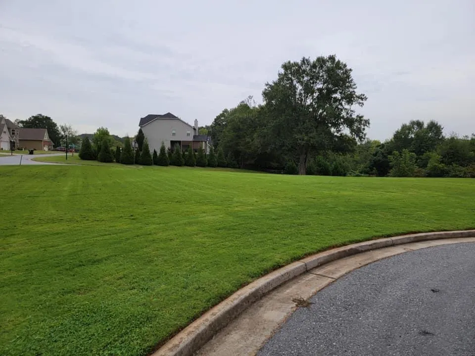 Affordable landscaping services in Anderson, SC - Grants landscaping & lawn care