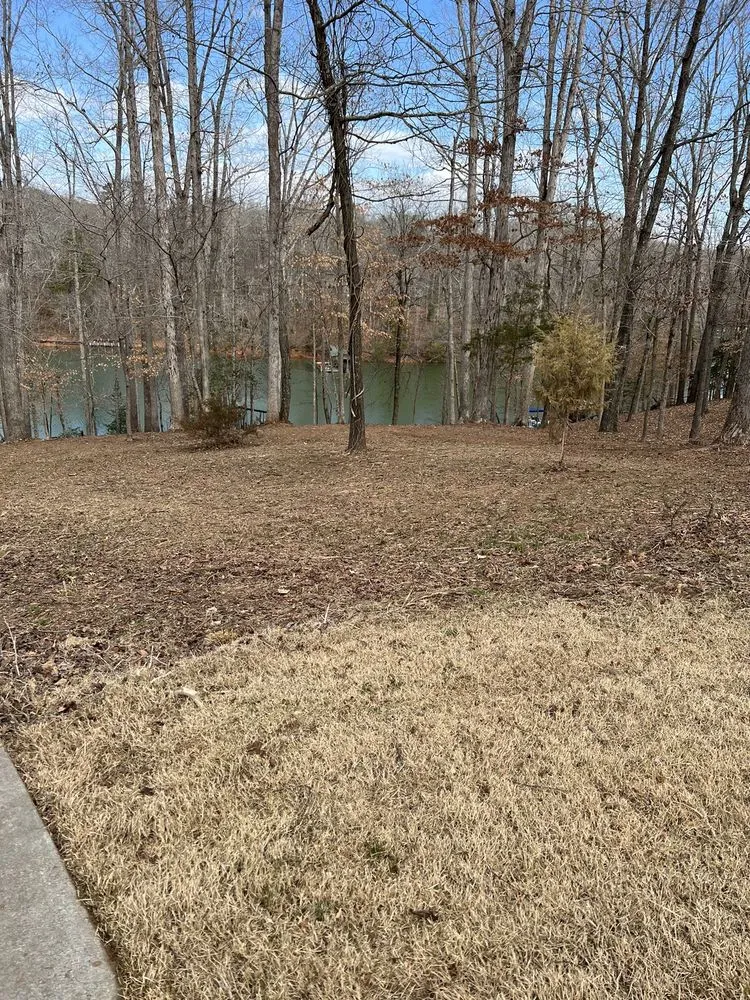 Trusted outdoor landscaping in Anderson, SC - Grants landscaping & lawn care