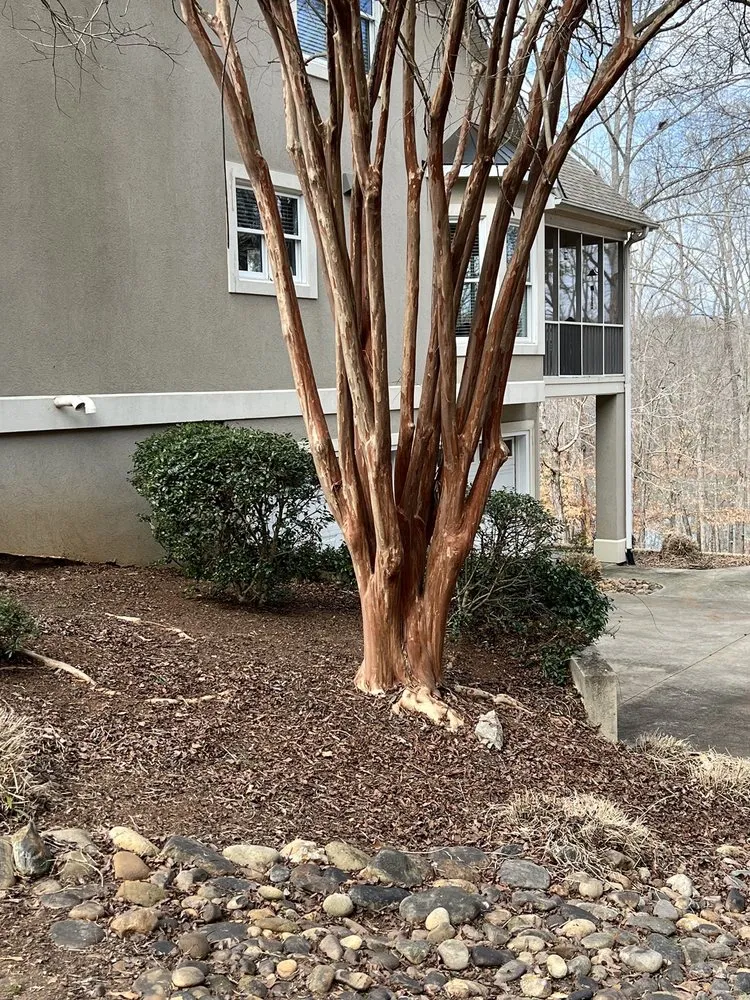 Custom landscaping services in Anderson, SC by Grants landscaping & lawn care