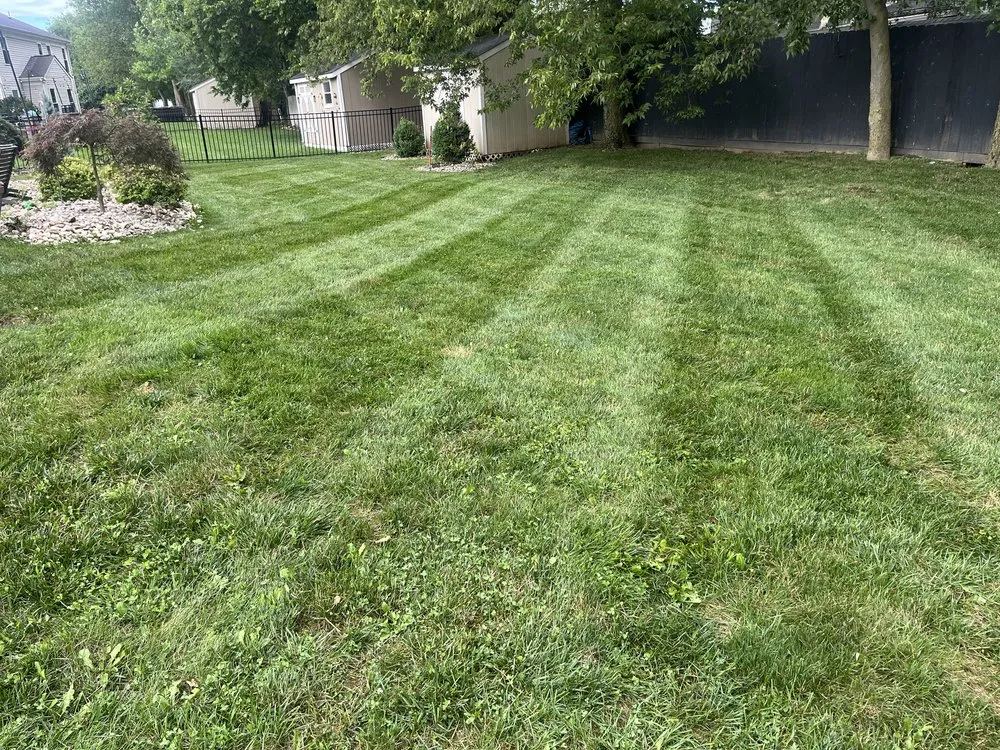 Reliable yard cleanup service experts serving Okeana, OH - Grants Lawn & Landscape