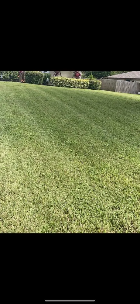 Custom landscape installation in Bartow, FL by Grants Lawn Care
