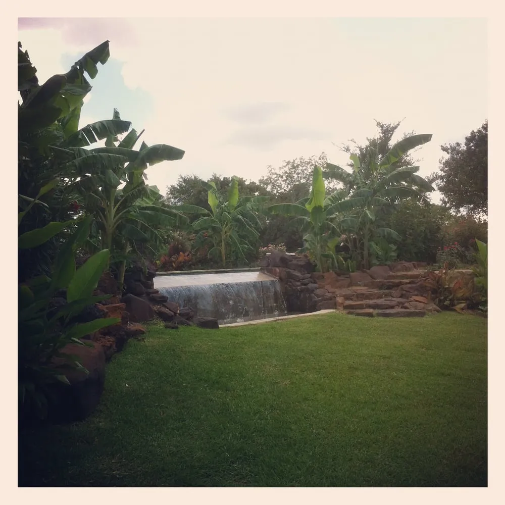 Trusted yard cleanup service in Aubrey, TX - Granulawn