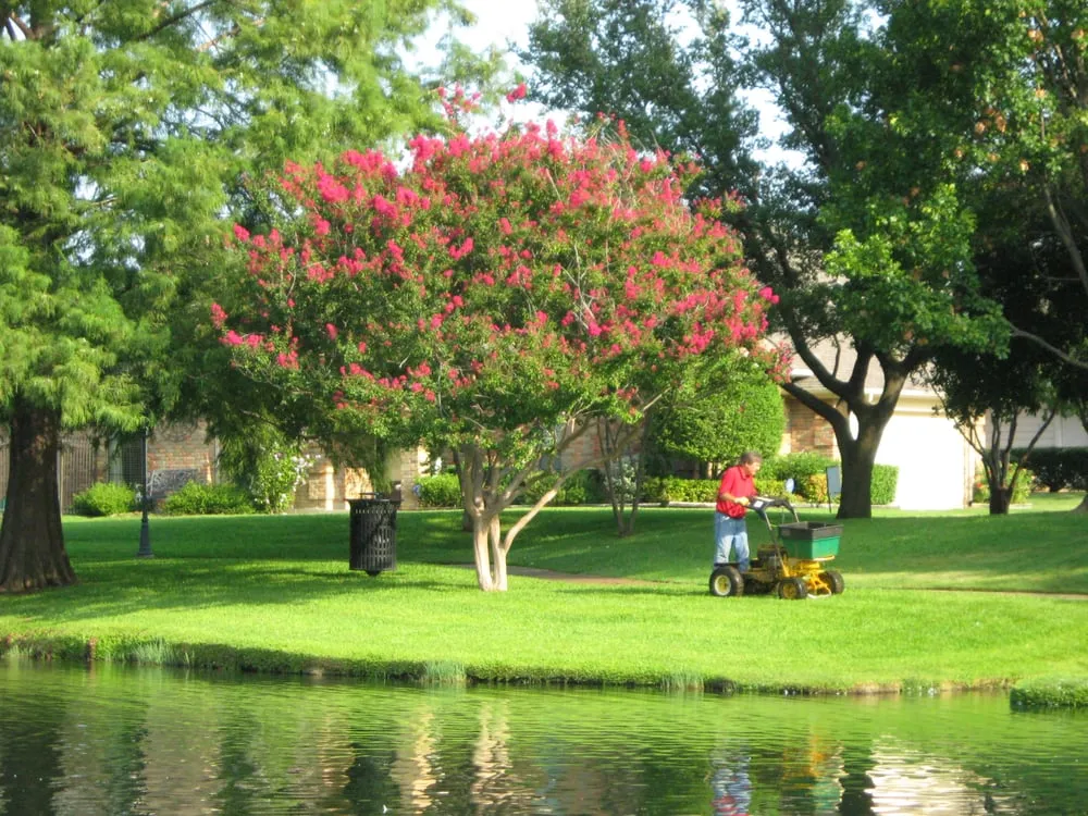 Local lawn mowing service experts serving Aubrey, TX - Granulawn