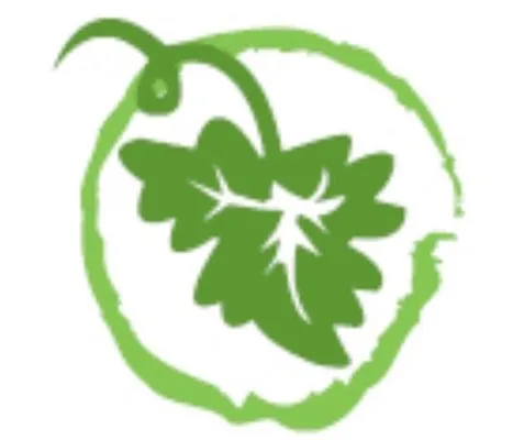 Grape Valley Landscape