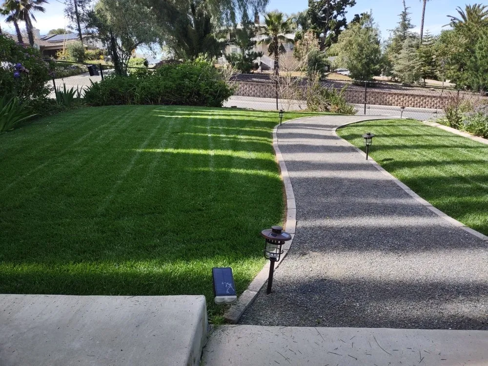 Professional yard cleanup service for beautiful yards in Escondido, CA by Grape Vine landscaping