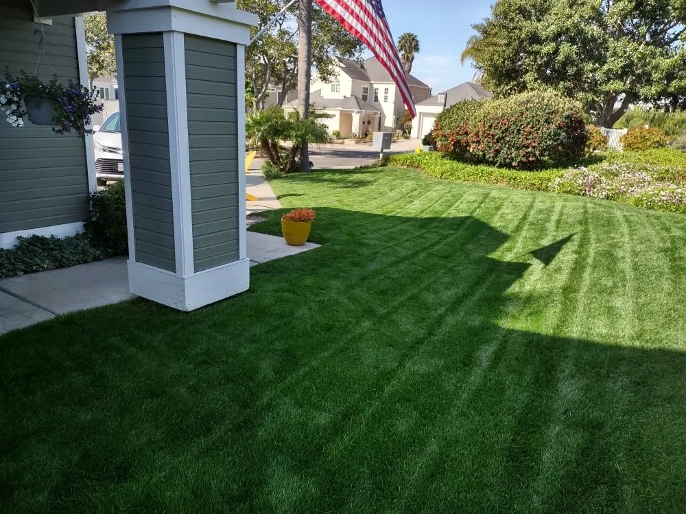 Trusted landscaping services for outdoor upgrades in Escondido, CA by Grape Vine landscaping