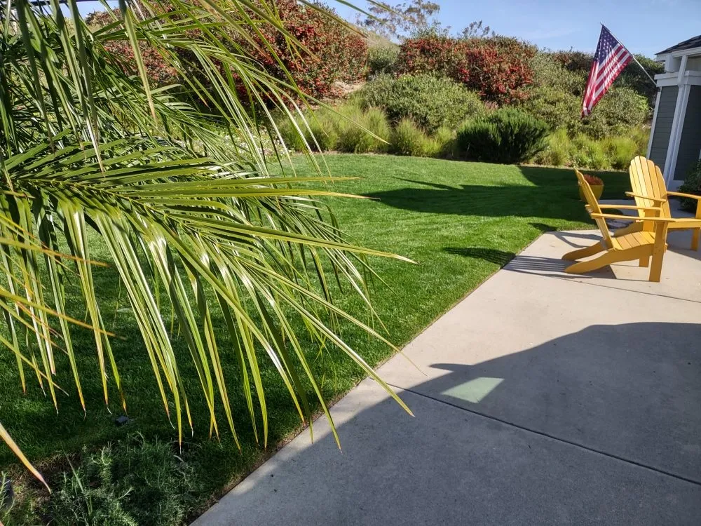 Local lawn mowing service experts serving Escondido, CA - Grape Vine landscaping